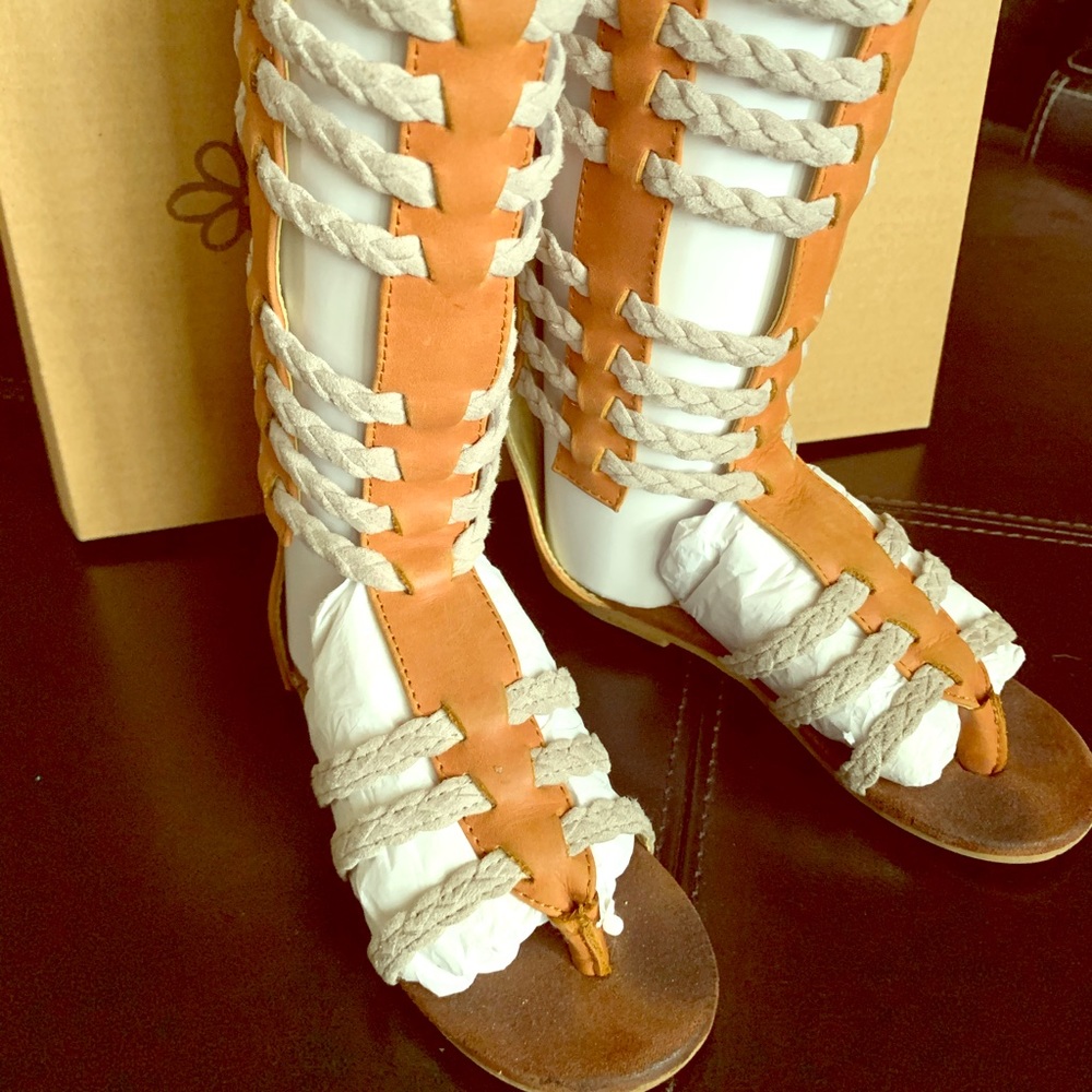 Joyfolie Clove Bridget gladiator sandal 8T